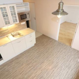 Pronájem bytu 1+1 35 m² Brno