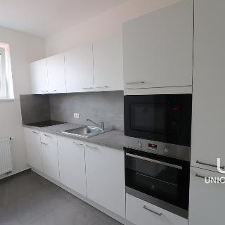 Pronájem bytu 1+1 35 m² Brno, Šimáčkova