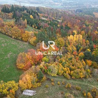 Prodej louky 21 465 m² Kunštát, 