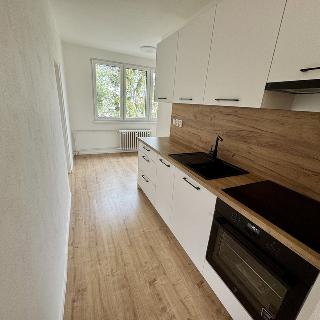 Prodej bytu 3+1 81 m² České Budějovice, Dobrovodská