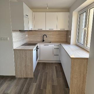 Prodej bytu 2+kk 45 m² České Budějovice, Opatovická