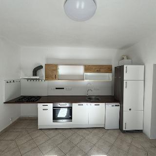 Prodej bytu 2+kk 40 m² České Budějovice, U Lávky