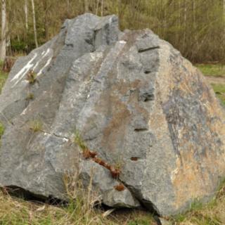 Prodej ostatních pozemků 19816 m&sup2; Chodová Planá