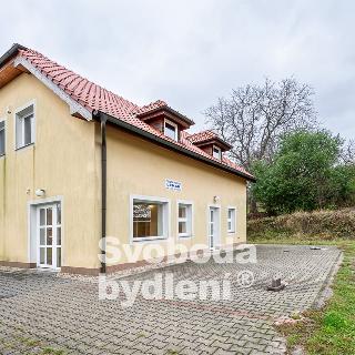 Pronájem kanceláře 48 m² Velké Přílepy, Nová