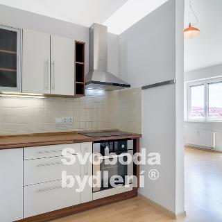 Prodej bytu 1+kk a garsoniéry 57 m² Šestajovice, Komenského