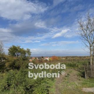 Pronájem ostatních pozemků 20330 m² Holubice