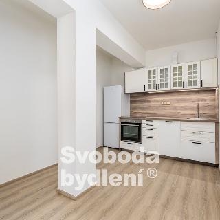 Pronájem bytu 1+kk, garsoniery 45 m² Otvovice