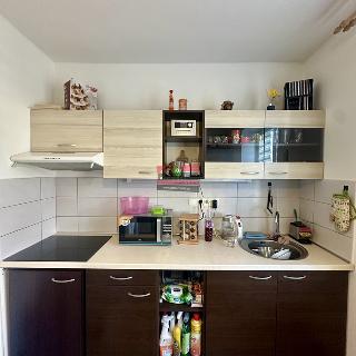 Pronájem bytu 2+1 48 m² Sezimovo Ústí, Lipová