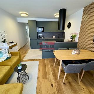 Prodej bytu 2+kk 55 m² Tábor