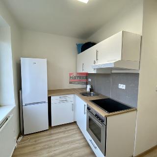 Pronájem bytu 1+1 25 m² Soběslav, Žižkova