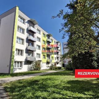 Prodej bytu 3+1 65 m² Tábor, Sokolovská