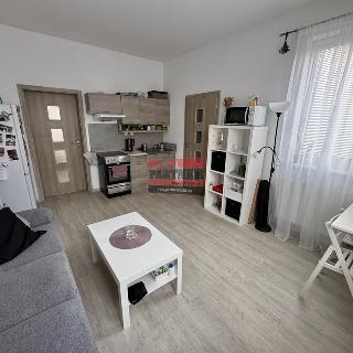 Pronájem bytu 2+kk 52 m² Tábor, Herlošova