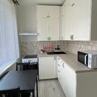 Pronájem bytu 1+1 26 m² Soběslav, Žižkova