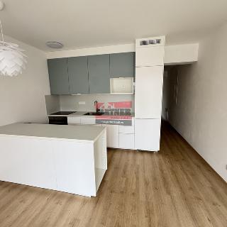 Pronájem bytu 2+kk 55 m² Tábor, Malinová