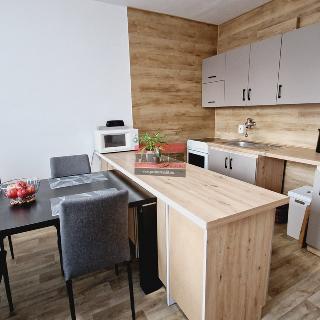 Prodej bytu 1+1 36 m² Žirovnice, Sídliště