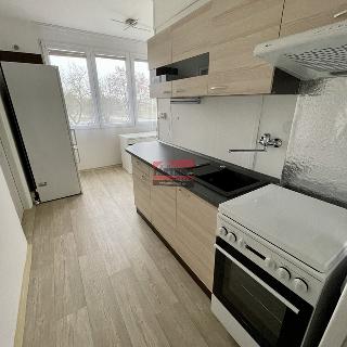 Pronájem bytu 2+1 54 m² Tábor, Petrohradská