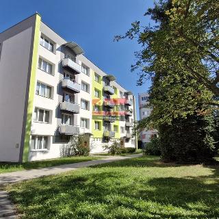 Prodej bytu 3+1 65 m² Tábor