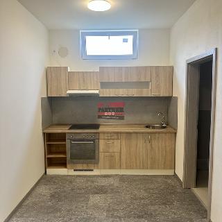 Pronájem bytu 3+kk 78 m² Lštění, Míru