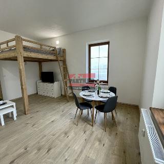 Pronájem bytu 1+1 36 m² Bechyně