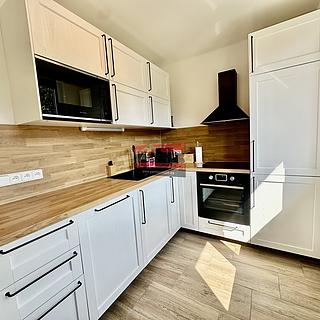 Prodej hotelu, penzionu 55 m&sup2; Želnava
