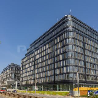 Pronájem obchodu 284 m² Praha, Vinohradská