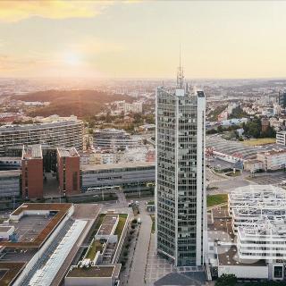 Pronájem kanceláře 237 m² Praha