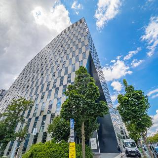 Pronájem kanceláře 446 m² Praha, Vinohradská