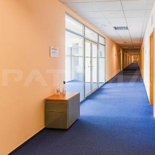 Pronájem kanceláře 136 m² Praha, Kodaňská