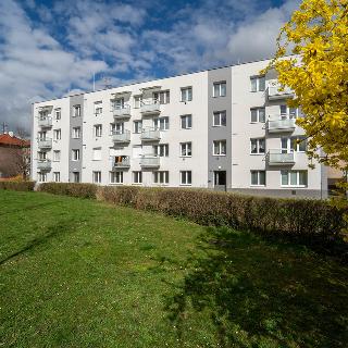 Pronájem bytu 2+kk 53 m² Nymburk, Raisova