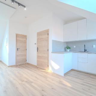 Pronájem bytu 1+kk a garsoniéry 27 m² Kolín, Školská