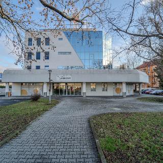 Pronájem kanceláře 45 m² Kolín, Sladkovského