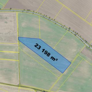 Prodej zemědělské půdy 23198 m² Libodřice