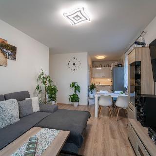 Prodej bytu 2+kk 53 m² Praha, Miroslava Hajna