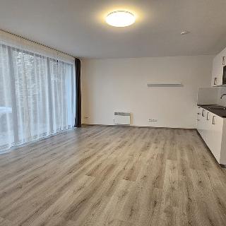 Pronájem bytu 1+kk a garsoniéry 32 m² Kolín, Nad Zastávkou