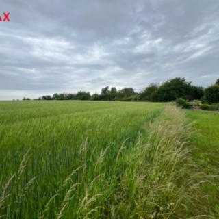 Prodej zemědělské půdy 18 159 m² Krupá