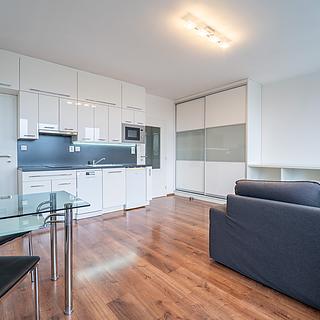 Pronájem bytu 1+kk, garsoniery 33 m&sup2; Velký Osek