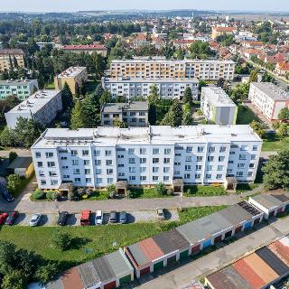 Prodej bytu 3+1 72 m² Pečky, V Horkách