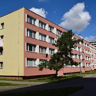 Pronájem bytu 3+1 64 m² Nymburk, Ivana Olbrachta