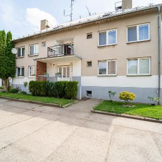 Prodej bytu 4+1 71 m² Vrbčany, 