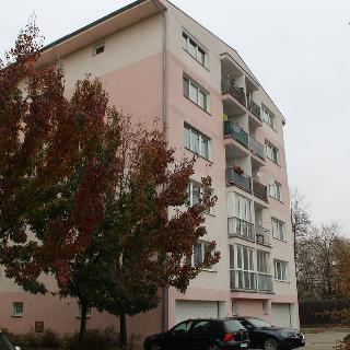 Pronájem bytu 2+kk 58 m² Kolín, Třídvorská