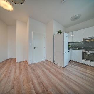 Pronájem bytu 1+kk a garsoniéry 25 m² Praha, Sinkulova