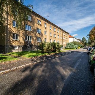 Pronájem bytu 2+1 64 m² Kolín, Na Magistrále