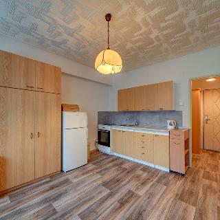 Pronájem bytu 1+kk a garsoniéry 21 m² Kolín, Dělnická