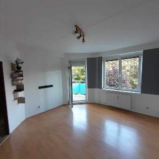 Pronájem bytu 1+1 43 m² Valašské Meziříčí, Luční