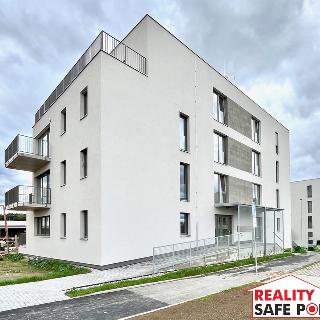 Pronájem bytu 2+kk 45 m² Plzeň, Rubínová