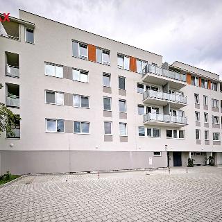 Prodej bytu 3+kk 60 m² České Budějovice, Krčínova