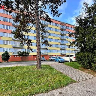 Prodej bytu 1+1 36 m² Český Krumlov, 5. května