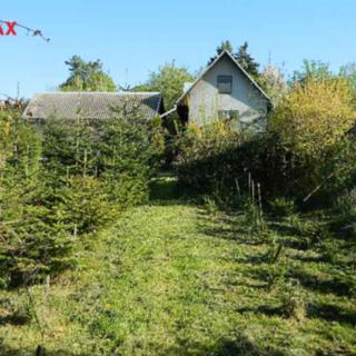 Pronájem zahrady 1273 m² Žárovná