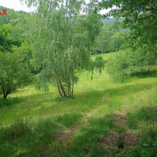 Prodej louky 7 666 m² Křemže