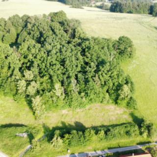 Prodej stavební parcely 7006 m² Dubičné